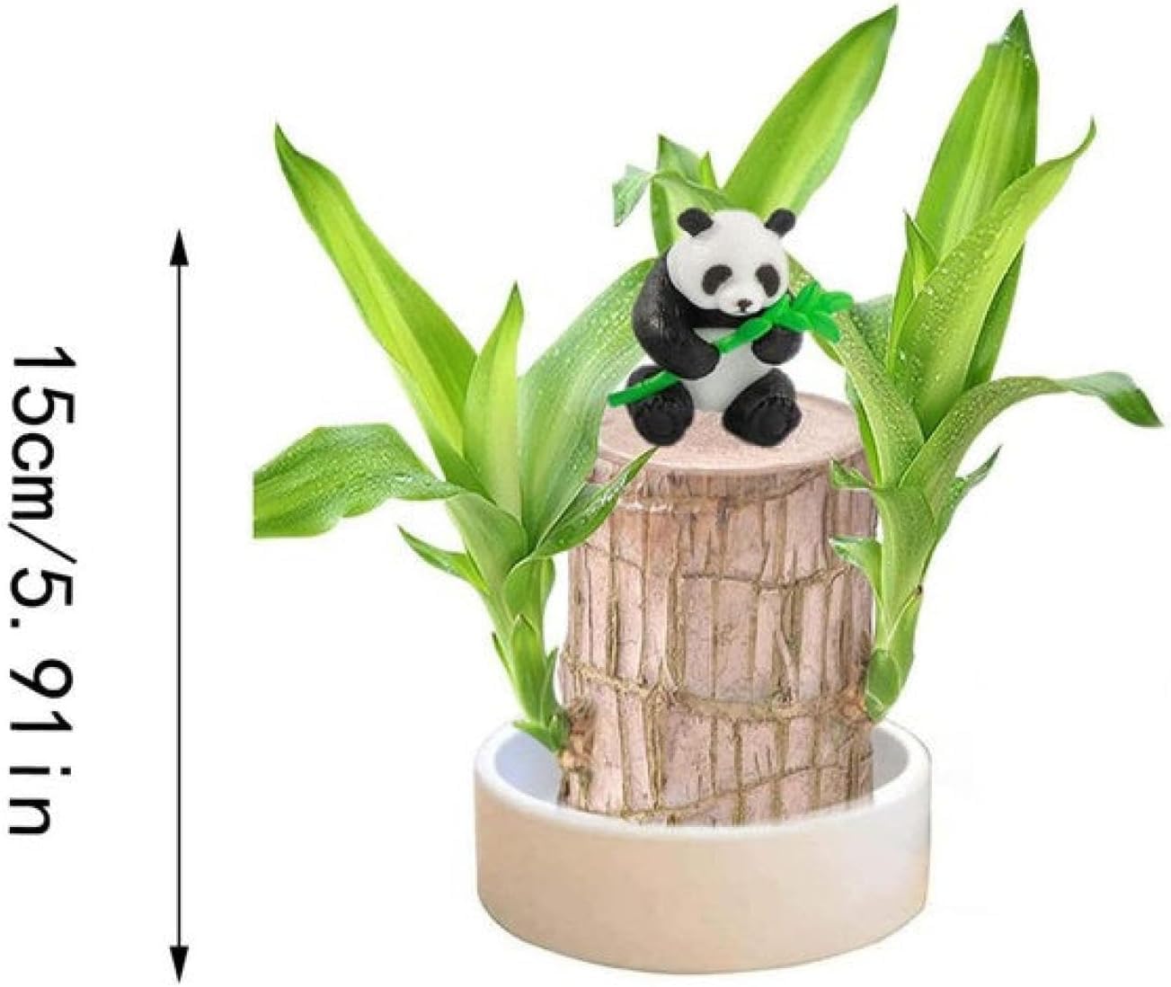 Brazilian wood, lucky panda