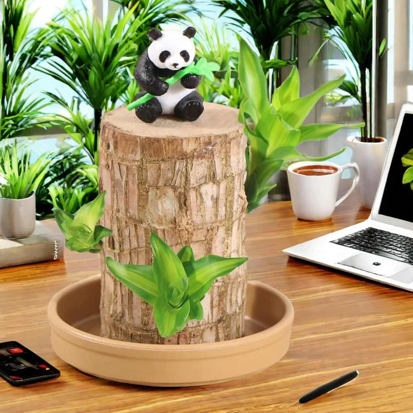 Bringing Spring Luck🔥Brazilwood Hydroponic Plants Panda Groot Lucky Wood Potted