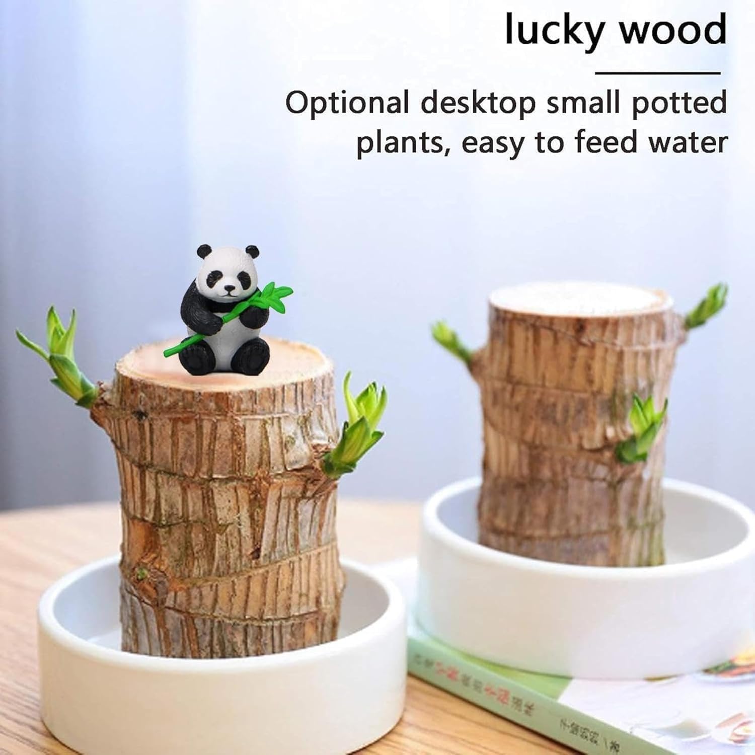 Brazilian wood, lucky panda
